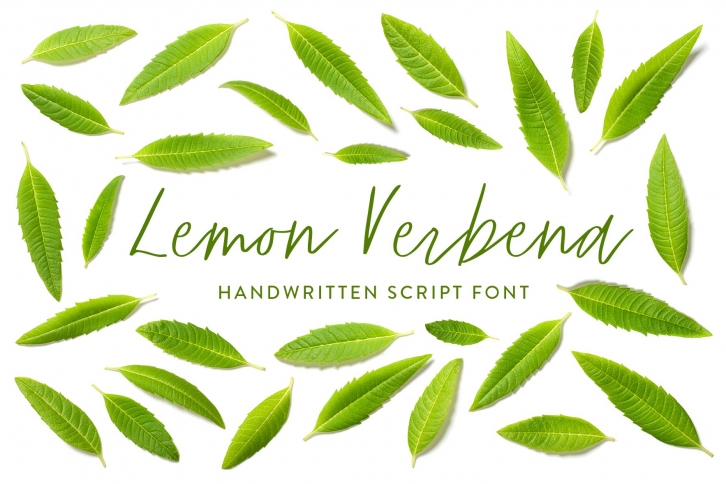 Lemon Verbena Handwritten Font Download