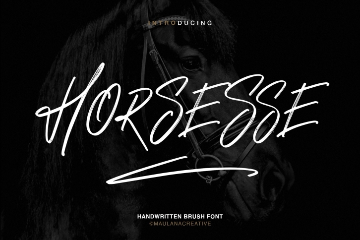 Horsesse Brush Font Font Download
