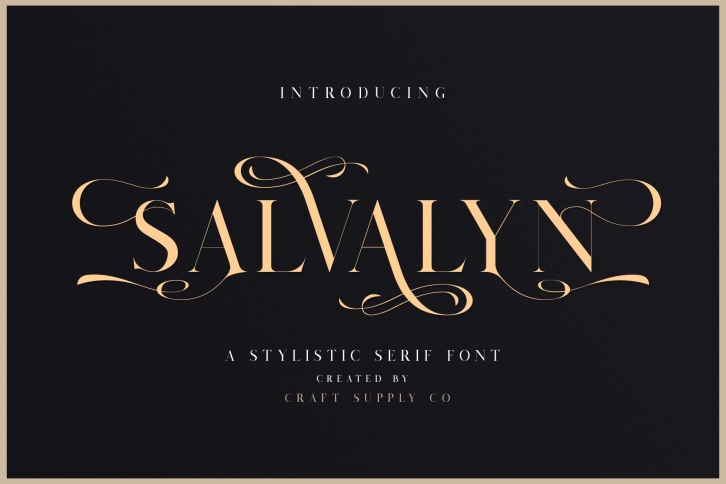 Salvalyn - Stylistic Serif Font Font Download