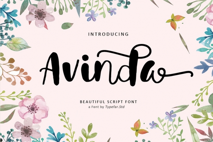 Avinda Script Font Download