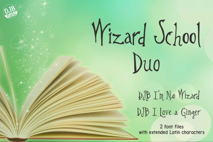 Wizard School Duo Font Download