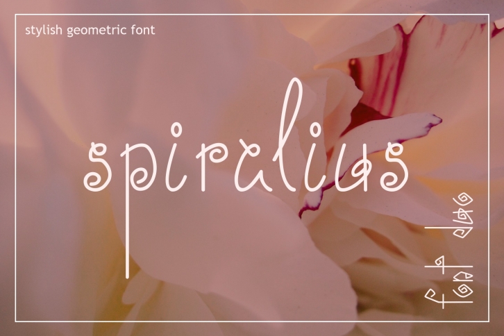 Spiralius Font Duo Font Download