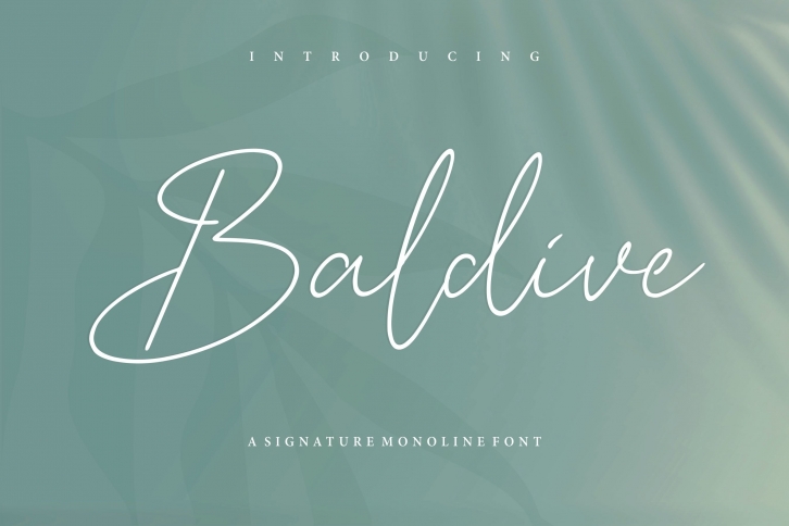 Baldive Signature Monoline Font Font Download