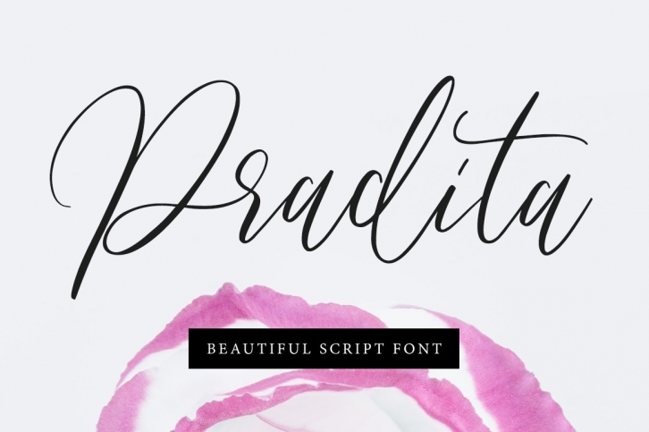 Pradita Script Font Font Download