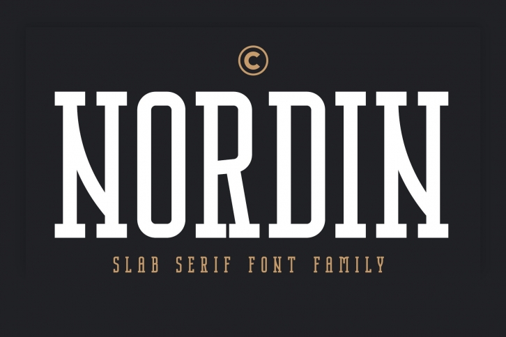 Nordin Slab - Condensed Slab Serif Font Download