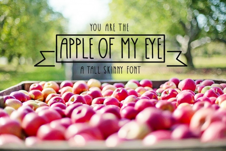 Apple Of My Eye Skinny Tall Font Font Download
