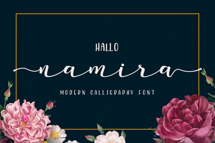 Namira | Modern Calligraphy Script Font Font Download