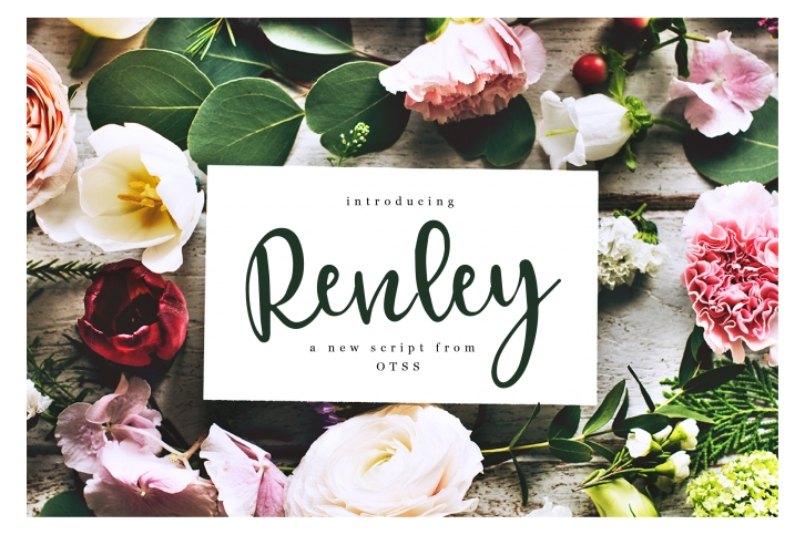 Renley - An Everyday Script Font Download