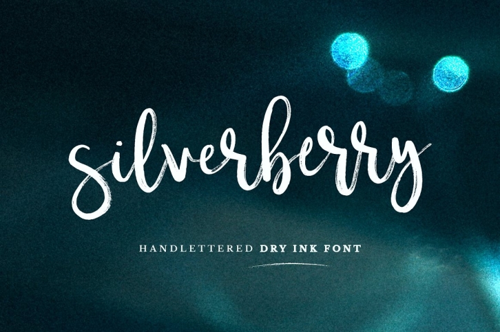 Silverberry - Dry Ink Font Font Download