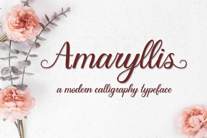 Amaryllis - a modern calligraphy typeface with swashes Font Download