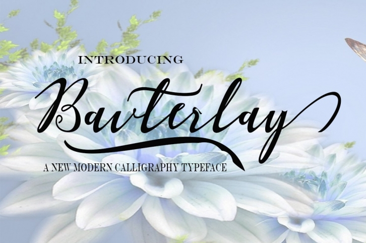 Bavterlay Font Download