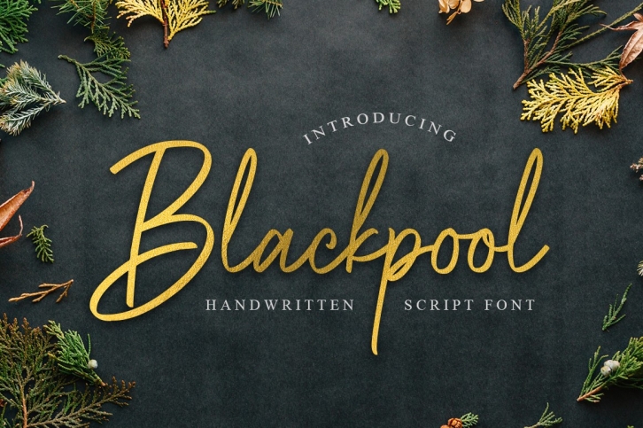 Blackpool - Handwritten Script Font Font Download