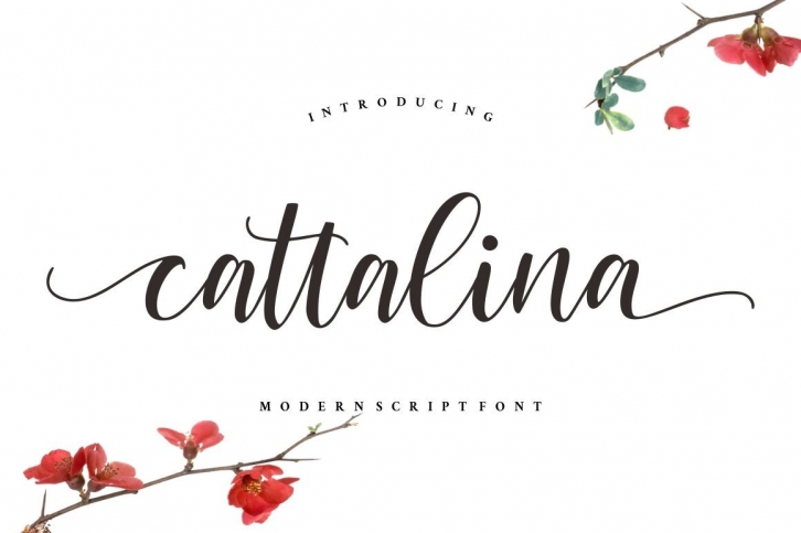 Cattalina - Beauty Script Font Font Download