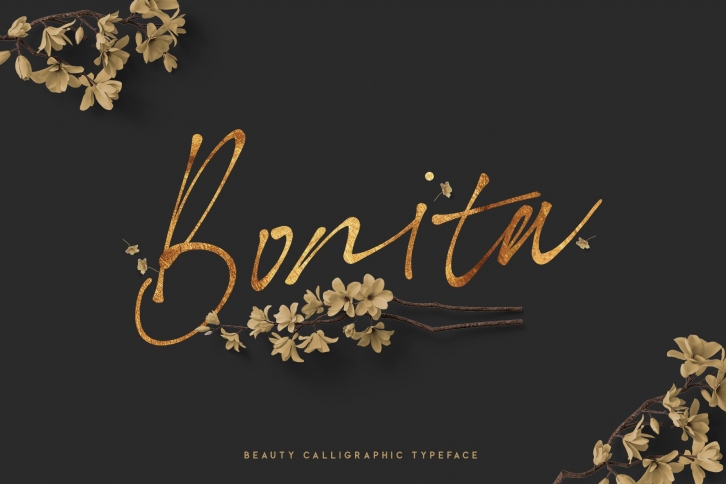 Bonita. Script font family. Font Download