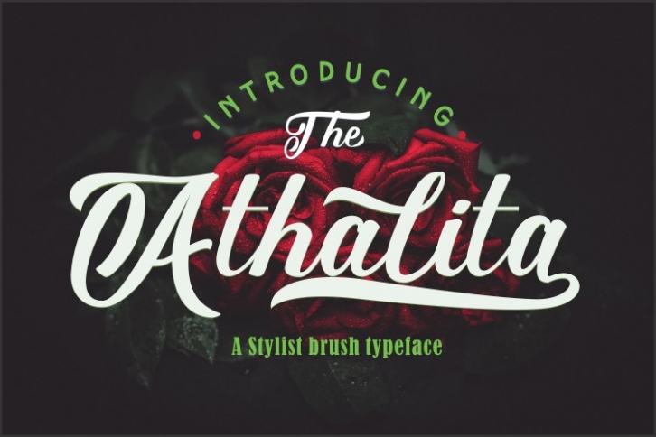 The Athalita  Cool brush stylist Font design Font Download