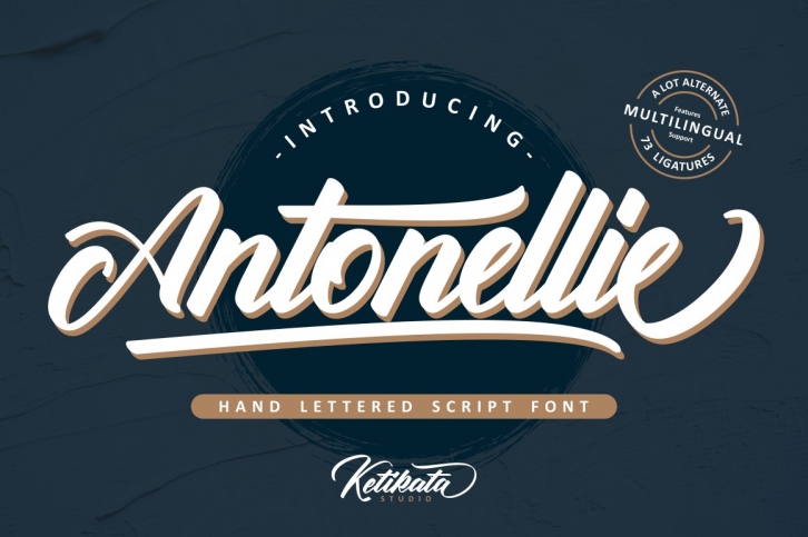 Antonellie Hand Lettered Script Font Download