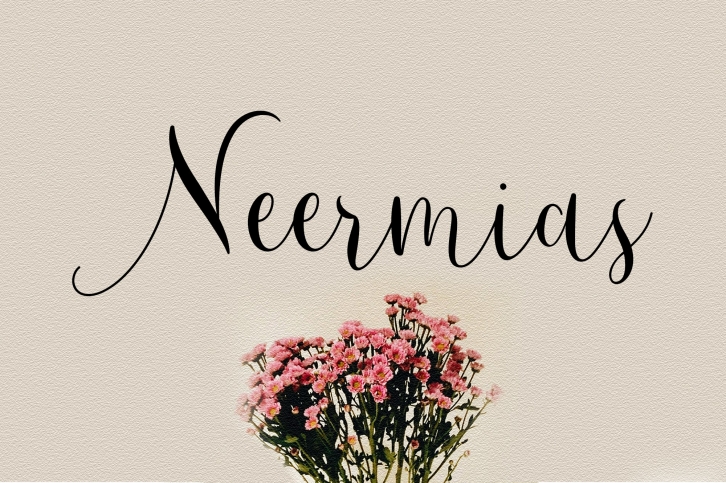Neermias Modern Calligraphy Font Download