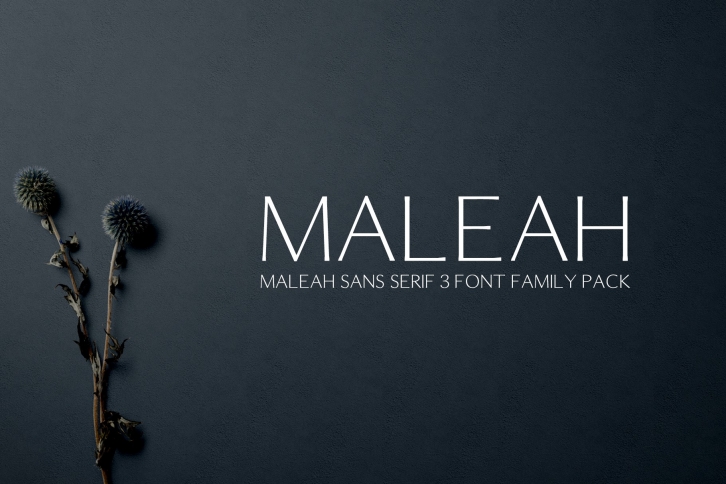 Maleah Sans Serif 2 Font Family Pack Font Download