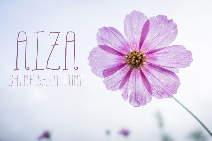 Aiza Shine Serif Regular Font Font Download