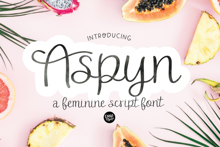 ASPYN a Feminine Script Font Font Download