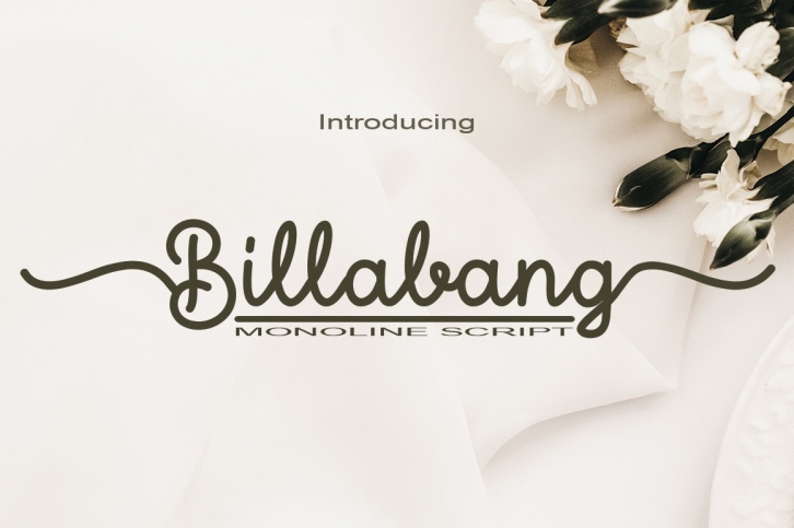 Billabang Font Download