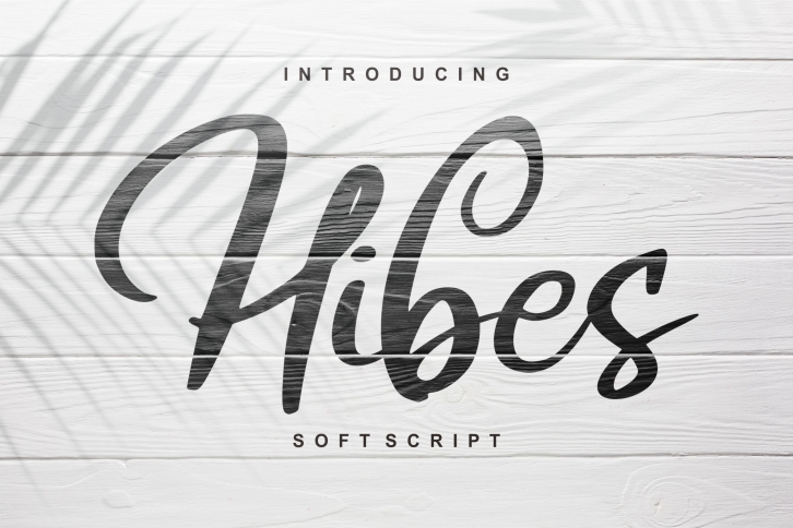 Hibes | Soft Script Font Font Download