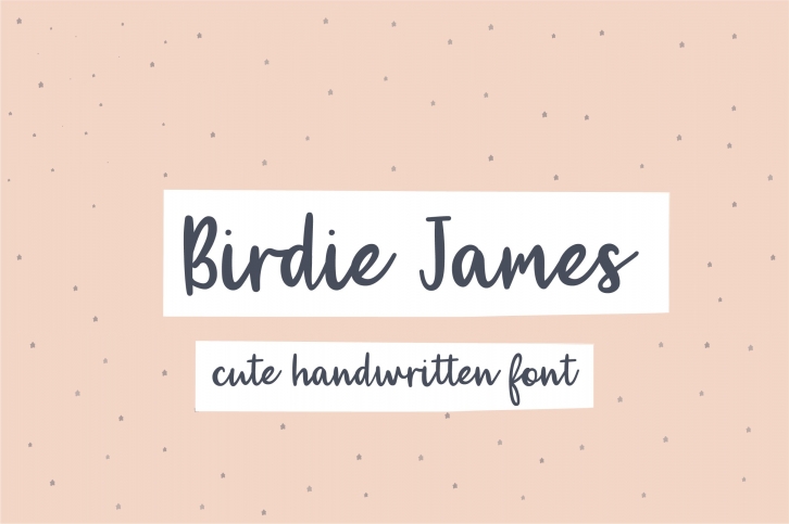 Birdie James Font Download