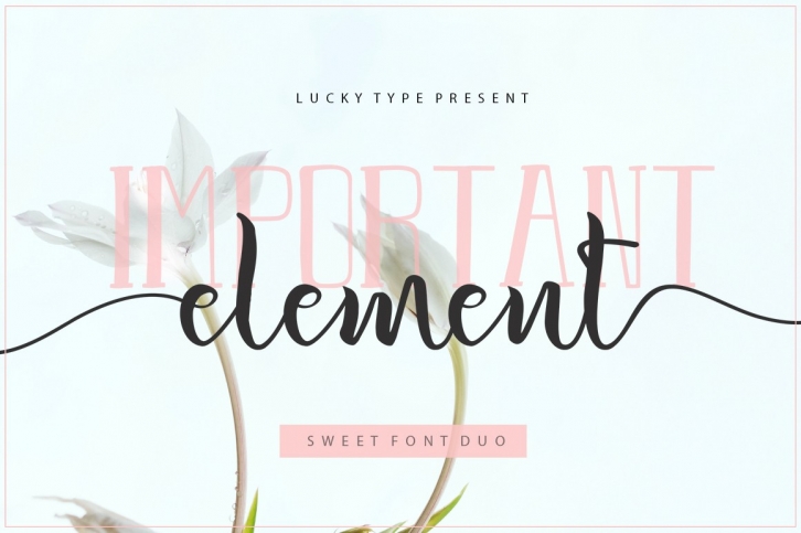 Important Element Font Duo Font Download