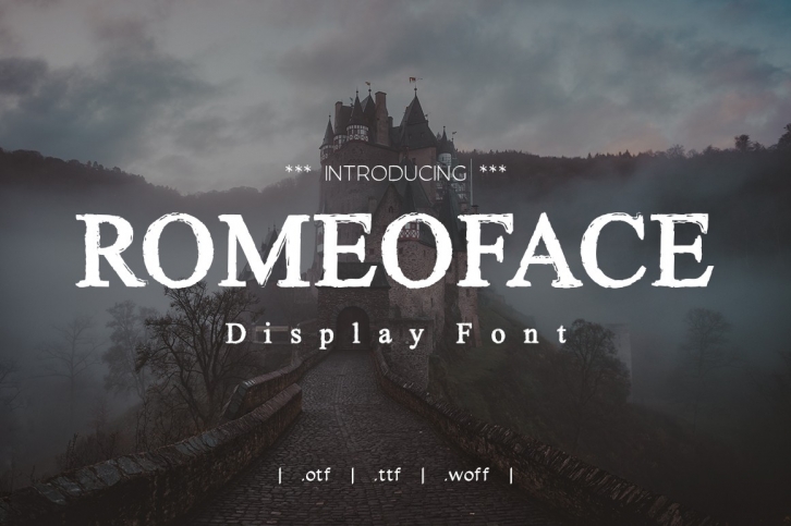 Romeoface Display Font Font Download