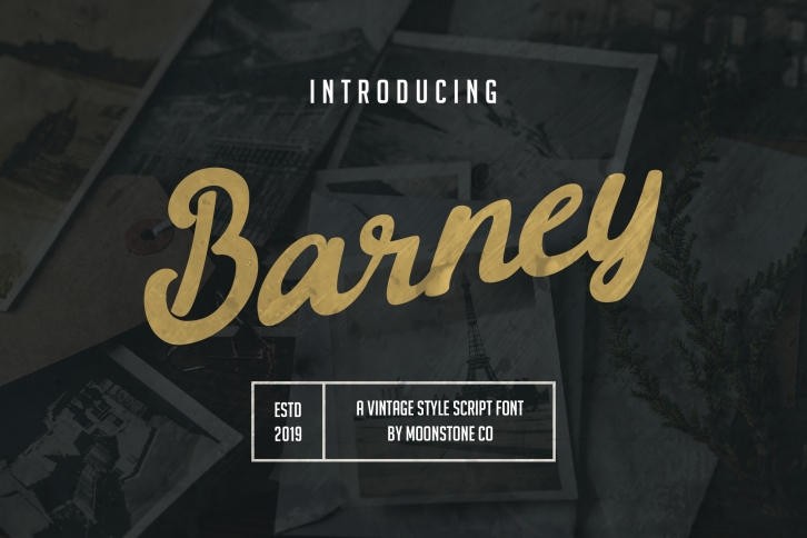 Barney Vintage Style Script Font Font Download