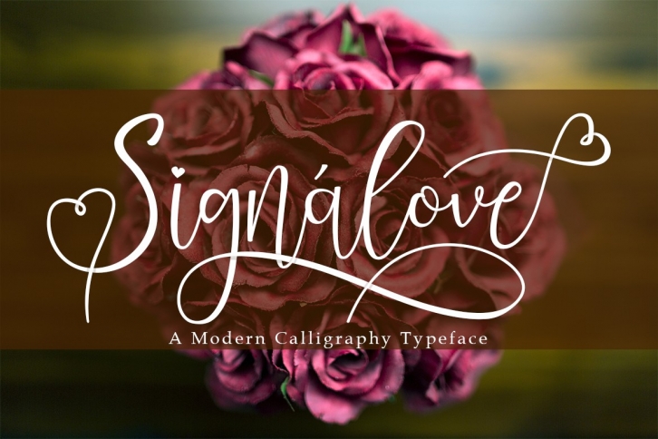 Signalove | Modern Calligraphy Typeface Font Download