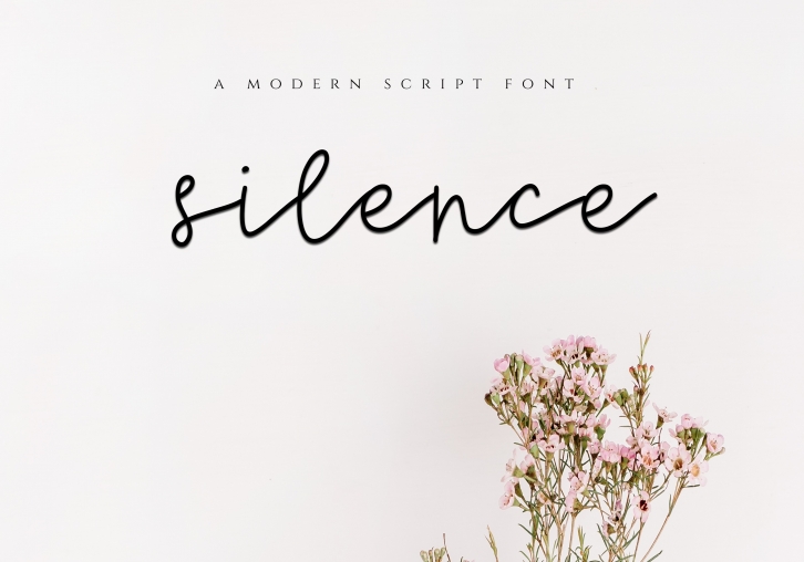 Silence - Delicate Script Font Font Download