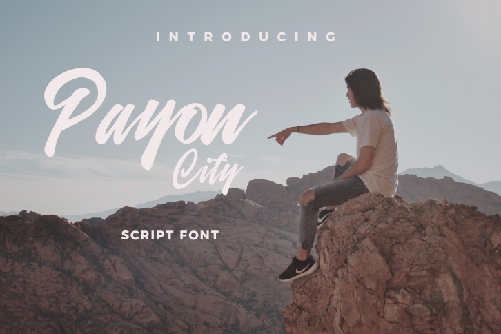 Payon City Typeface Font Download