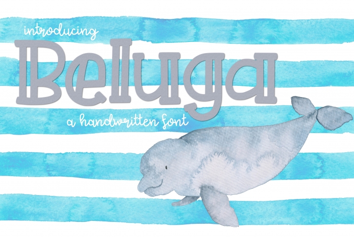 Beluga Font Download