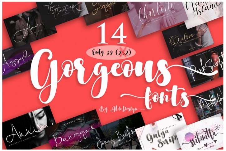 Gorgeous Bundle - 14 Fonts in 1 Pack Font Download