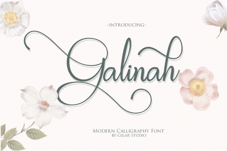 Galinah | Modern Calligraphy Font Font Download