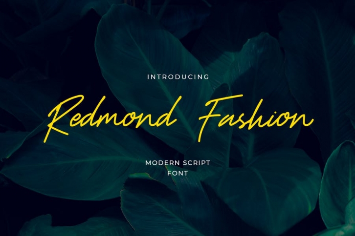 Redmond Fashion Handwritten Script Font Font Download