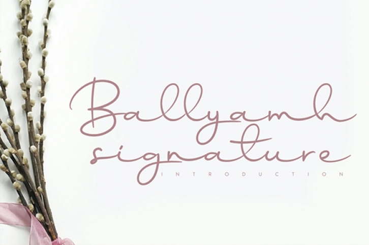 Ballyamh Signature Font Download