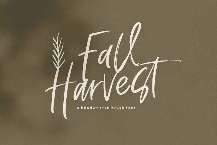 Fall Harvest - A Handwritten Script Font with extras! Font Download