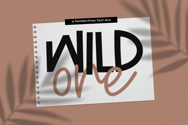 Wild One- Handwritten Script & Print Font Duo Font Download