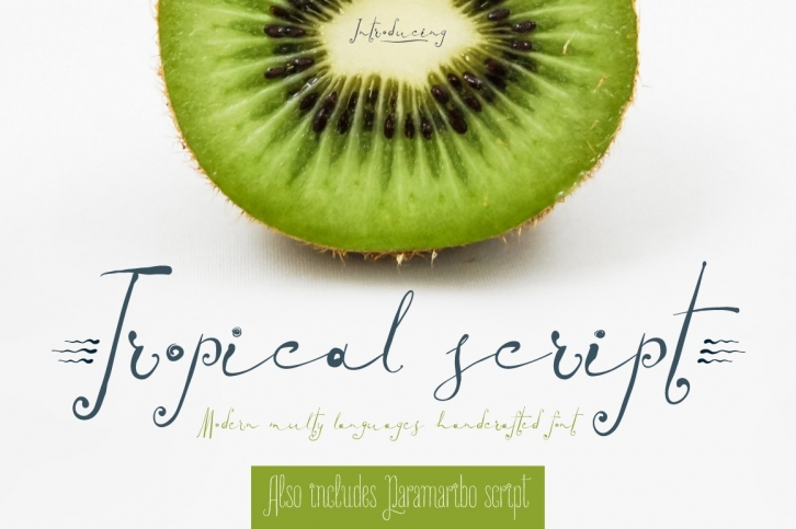 TROPICAL script Font Download