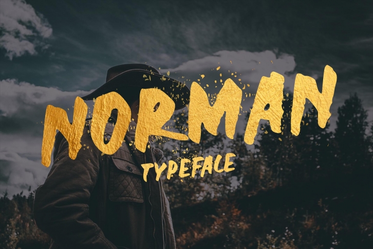 Norman Display Font Font Download