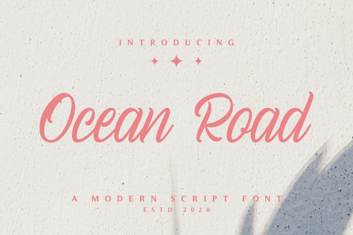 Ocean Road - A Modern Script Font Font Download