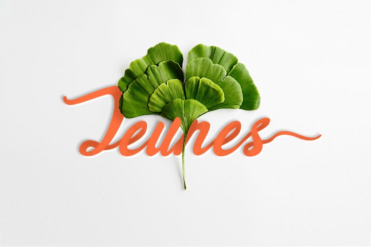 Jeunes Font Download