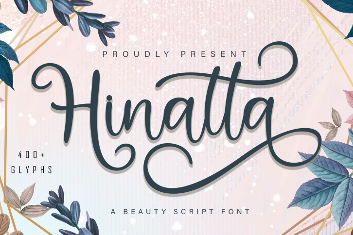 Hinatta Beauty Script Font Font Download