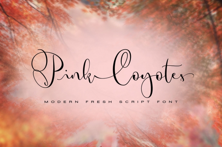 Pink Coyotes Script Font Download