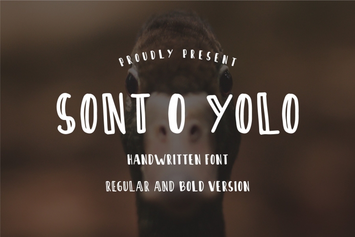 Sont O Yolo - Handwritten Font Font Download
