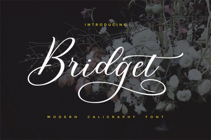 Bridget Script Font Download