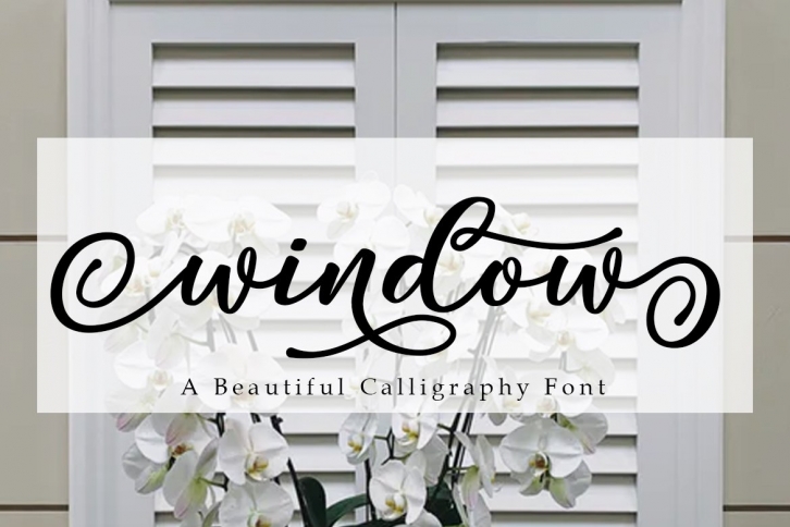 Window Script | A Calligraphy Font Font Download