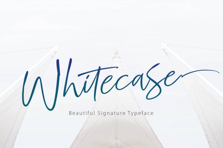 WHITECASE - Script Font Font Download